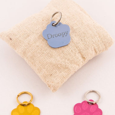 Médaille Patte Pour Animaux Gravée Personnalisée